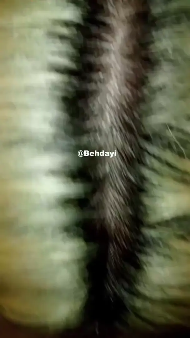 Zerra Sikiş ve Sex Videoları (3)