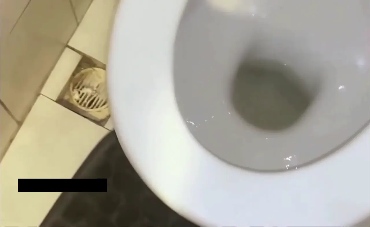 Wettpolly yeni videolar (27)